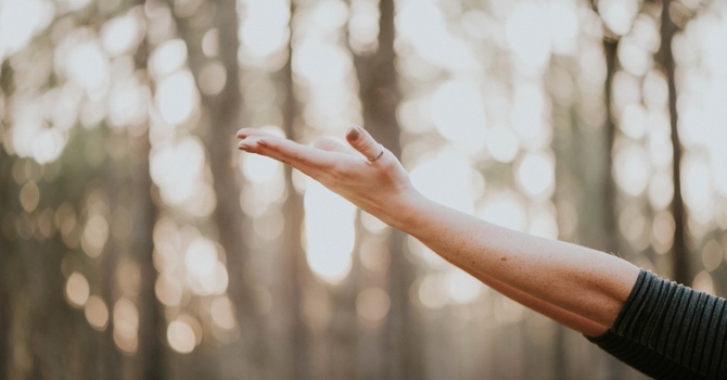 Identity & Personal Growth
